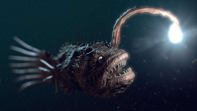 10 Weird Deep Sea Creatures Never Seen Before