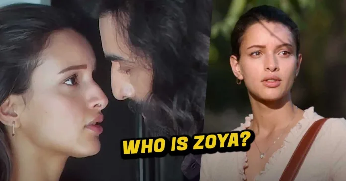Zoya from Animal Movie Triptii Dimri. Know Everything about Her!