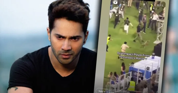 Outcry Over IPL Incident: Varun Dhawan and Others Condemn Treatment of Dog on Field