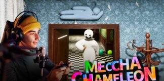 Why Streamers and Content Creators Love MECCHA CHAMELEON Why Mecchaa Chameleon is popular amongst the creators and streamers